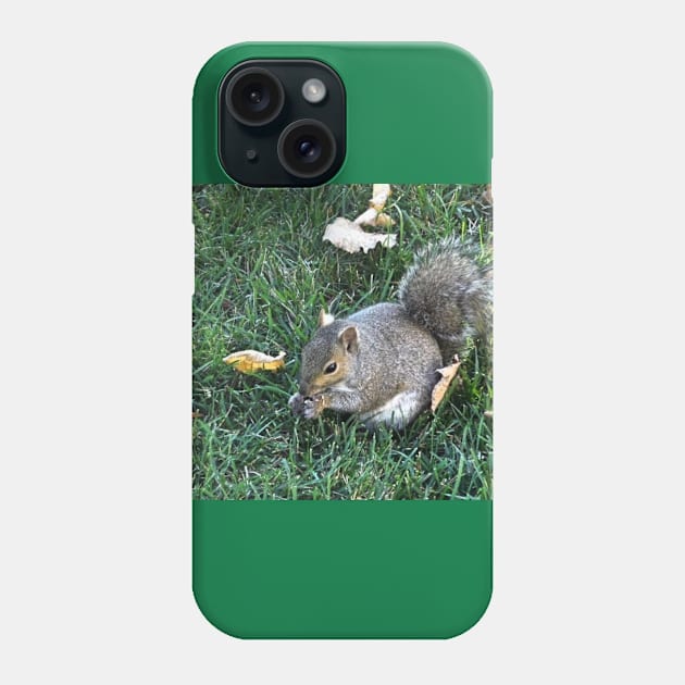 Squirrel Phone Case by heyokamuse