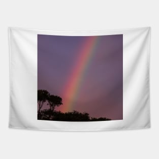 Rainbow Against Purple Sky Tapestry