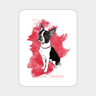 B is for Boston Terrier Magnet