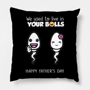 Funny Father's Day We Used To Live In Your Balls Pillow