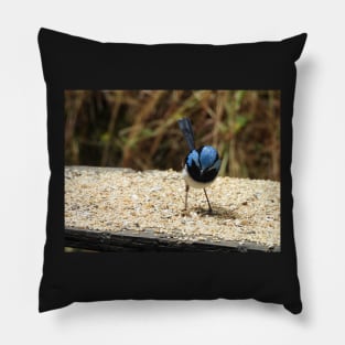 Superb Fairy Wren in Norton Summit 2 Pillow