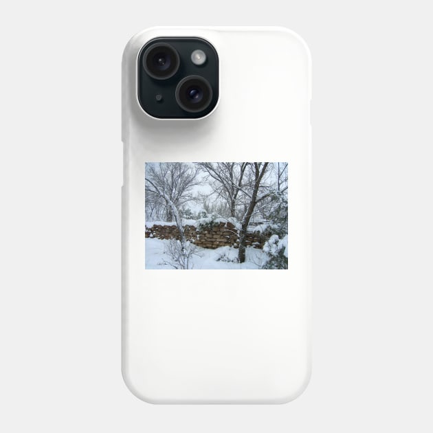 Winter Wall Phone Case by VKPelham