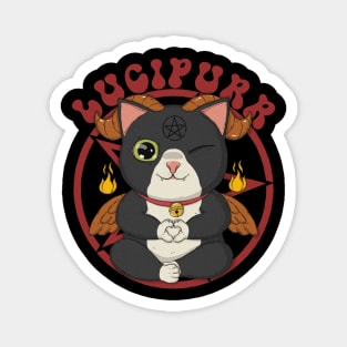 Lucippur Magnet