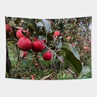 Apple Branch in the Apple Orchard Tapestry