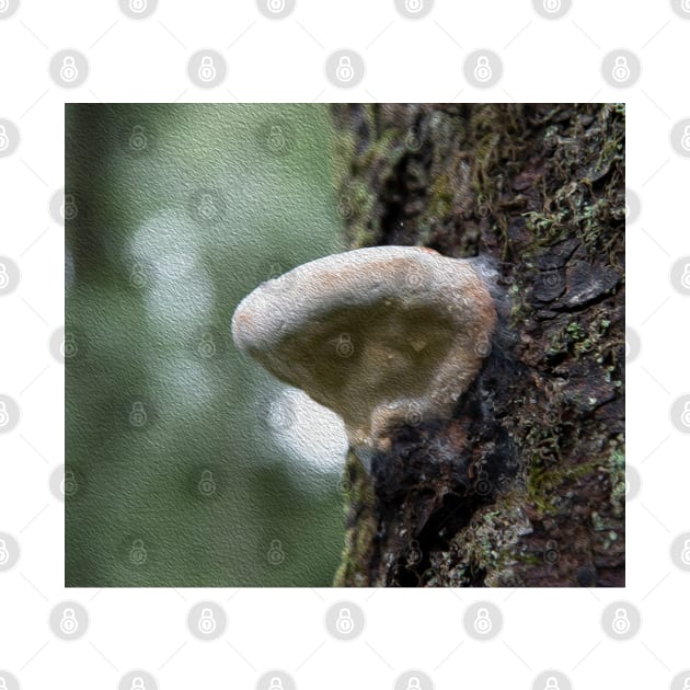 Painted Mushroom in a Misty Forest by elisewied