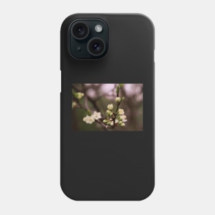 plum tree in full bloom Phone Case