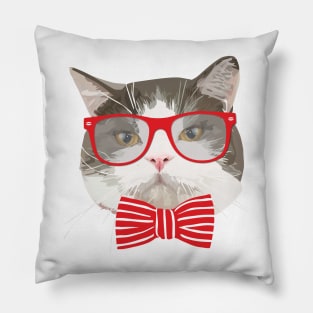 Fat Cat with Glasses Pillow