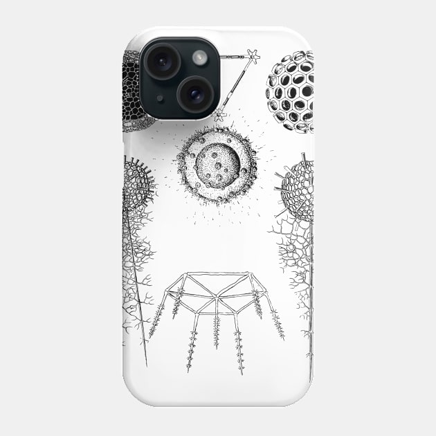 Radiolaria | Sea Creatures Microscopic Animals Phone Case by encycloart