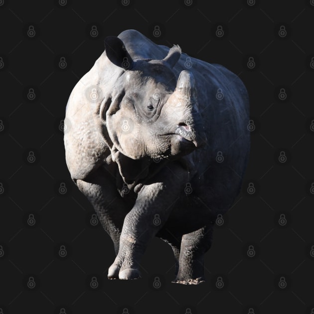 Rhino by Wolf Art / Swiss Artwork Photography