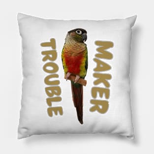 Trouble Maker Conure Bird for men and women Pillow