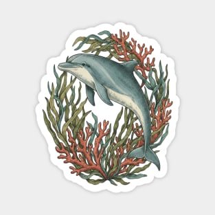 Bottlenose Dolphin Underwater Scene Magnet