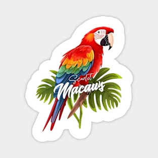 Scarlet Macaws Magnet