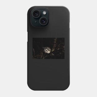 Night Hunter Phone Case