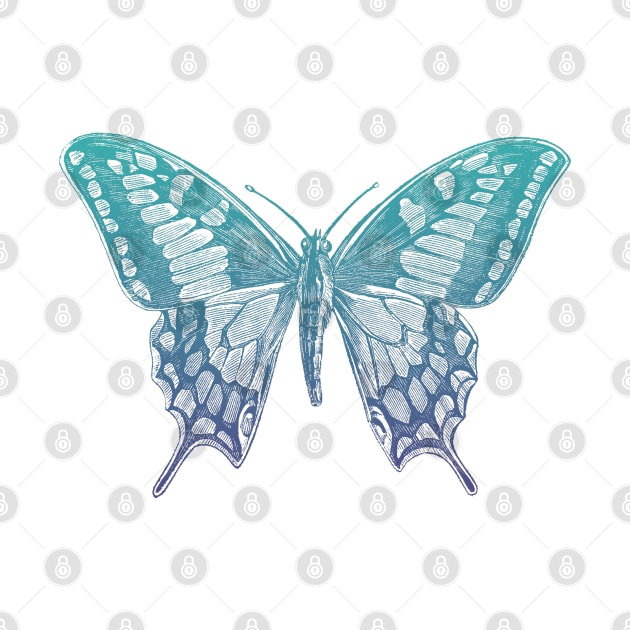 Blue butterfly by Blacklinesw9