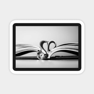 Book heart Magnet