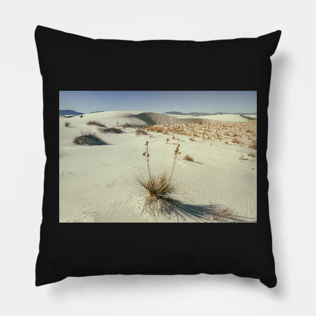 White Sand Landscape Pillow by jvnimages