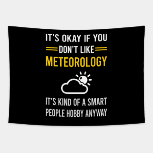 Smart People Hobby Meteorology Meteorologist Tapestry