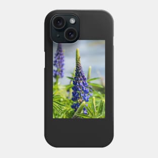 Two purple lupin flowers. Phone Case