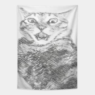 Tabby Cat Tapestry