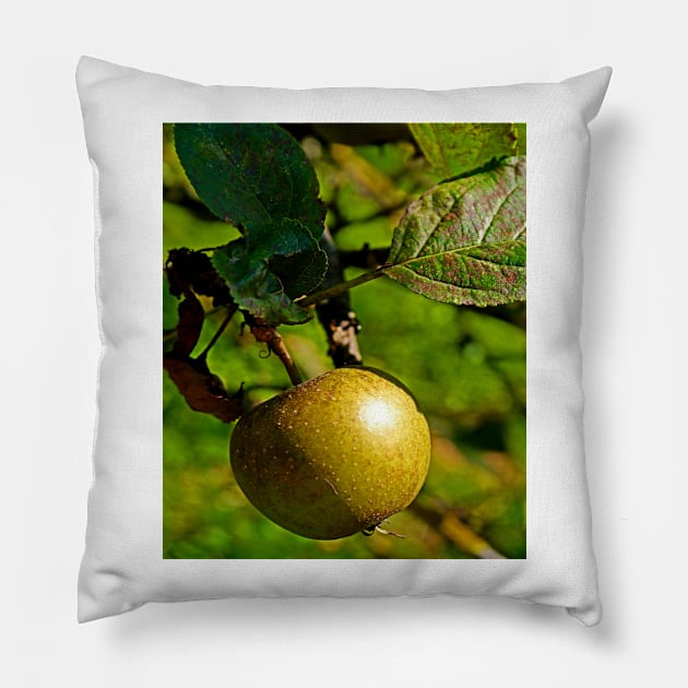 hanging apple Pillow by crefot