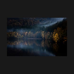 'Dark Autumn Gold', Loch Faskally, Pitlochry T-Shirt