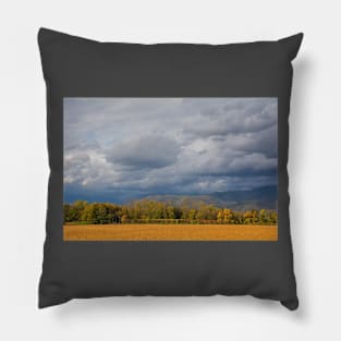 Autumn in Rural North East Italy Pillow