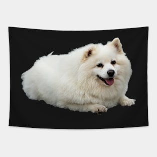 American Eskimo Dog picture Tapestry