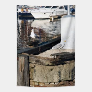 Scarborough Seagulls resting on the harbour wall, Yorkshire, UK Tapestry