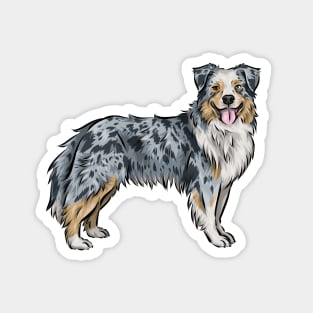 Australian Shepherd Dog Cartoon | Blue Merle | Aussie Magnet