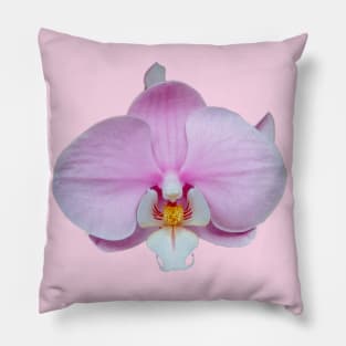 Pink Orchid Flower Pillow