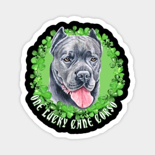 One Lucky Cane Corso Funny St. Patrick Dog Magnet