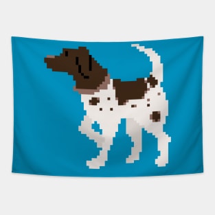 Pixel Pointer Tapestry