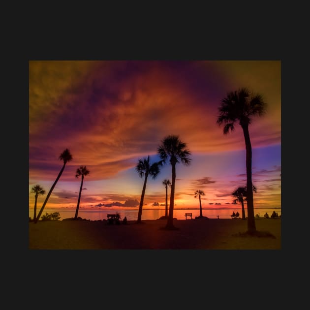 Palm Trees at Sunset by algill