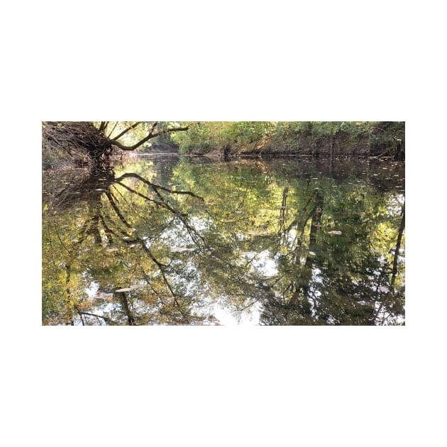 Beautiful Natural Fall Foliage Reflections of Nature on Water at Indian Creek by Zen Goat 