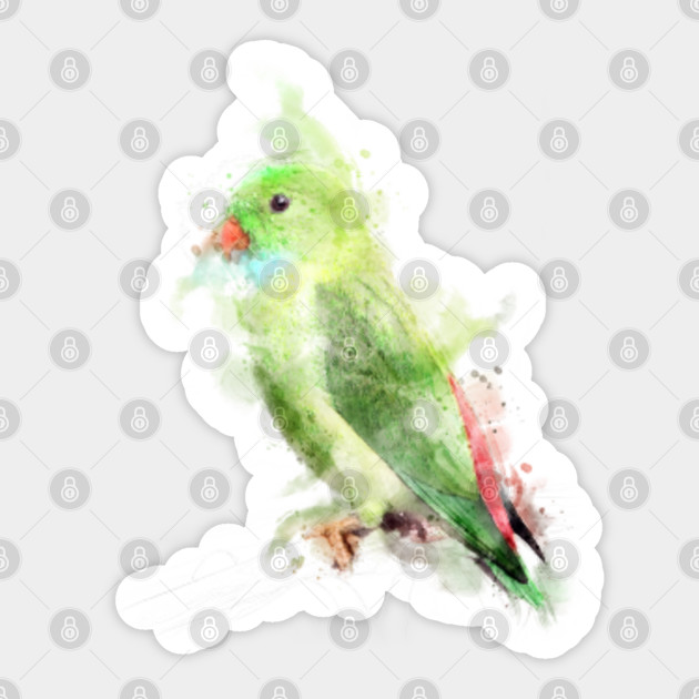 Watercolor Painting Green Colorful Bird T Shirts Watercolor