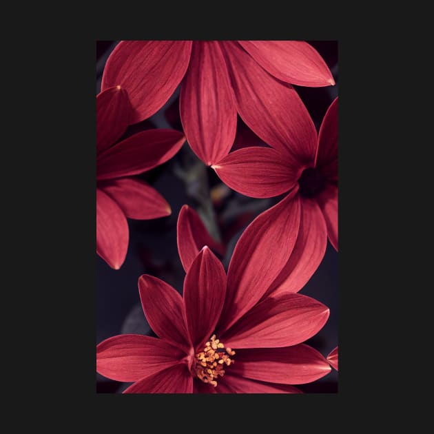 Beautiful Red Burgundy Flowers, for all those who love nature #103 by Endless-Designs