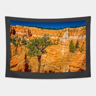 Bryce Canyon National Park Tapestry