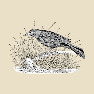 Illustration Grackle T-Shirt