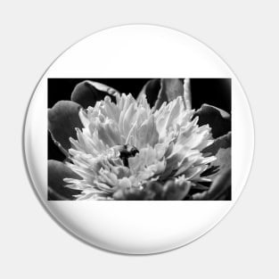 Black and White Peony Pin