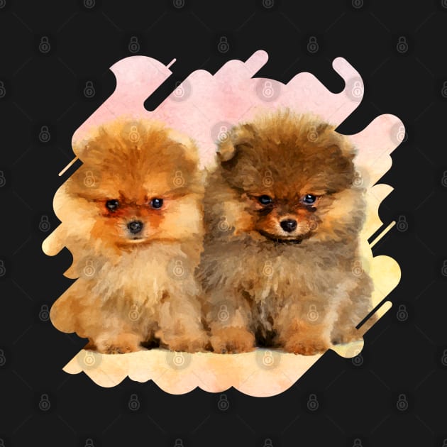 Cute Pomeranian German Spitz  Puppies by Nartissima