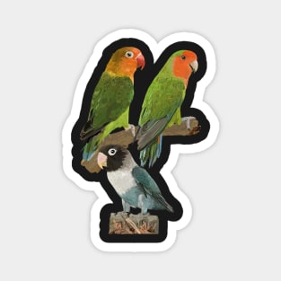 Lovebirds Magnet