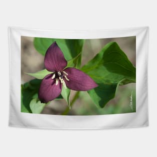 Red Trillium Tapestry