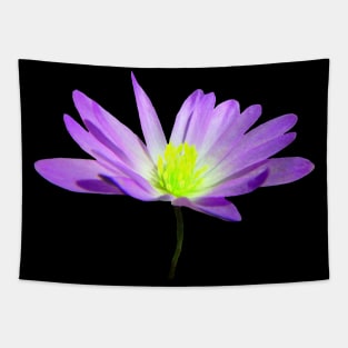 purple blooming flower, flowers, garden, blooms, violet Tapestry