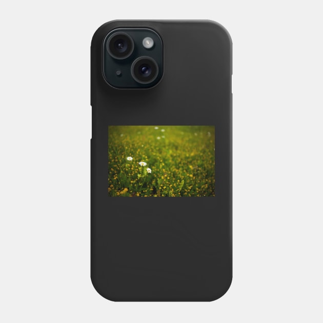 Wild flowers in a field Phone Case by naturalis