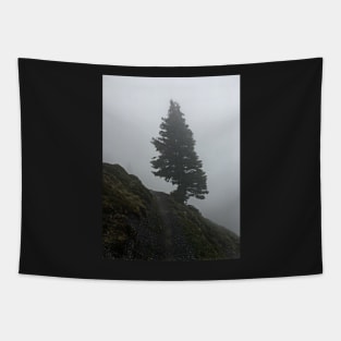 Solitary tree on a misty mountain top Tapestry