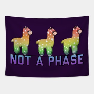 Not A Phase Rainbow Tapestry