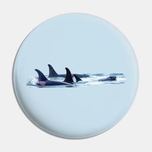 Orca family Pin