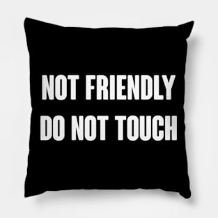 Not Friendly Do Not Touch Pillow