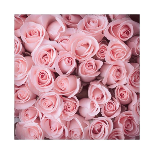 Blush Pink Roses by NewburyBoutique