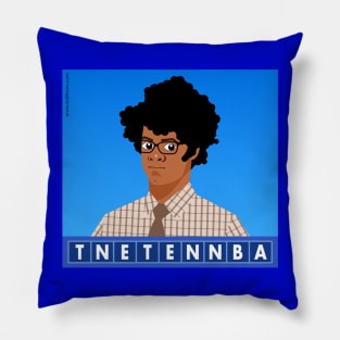 TNETENNBA Pillow